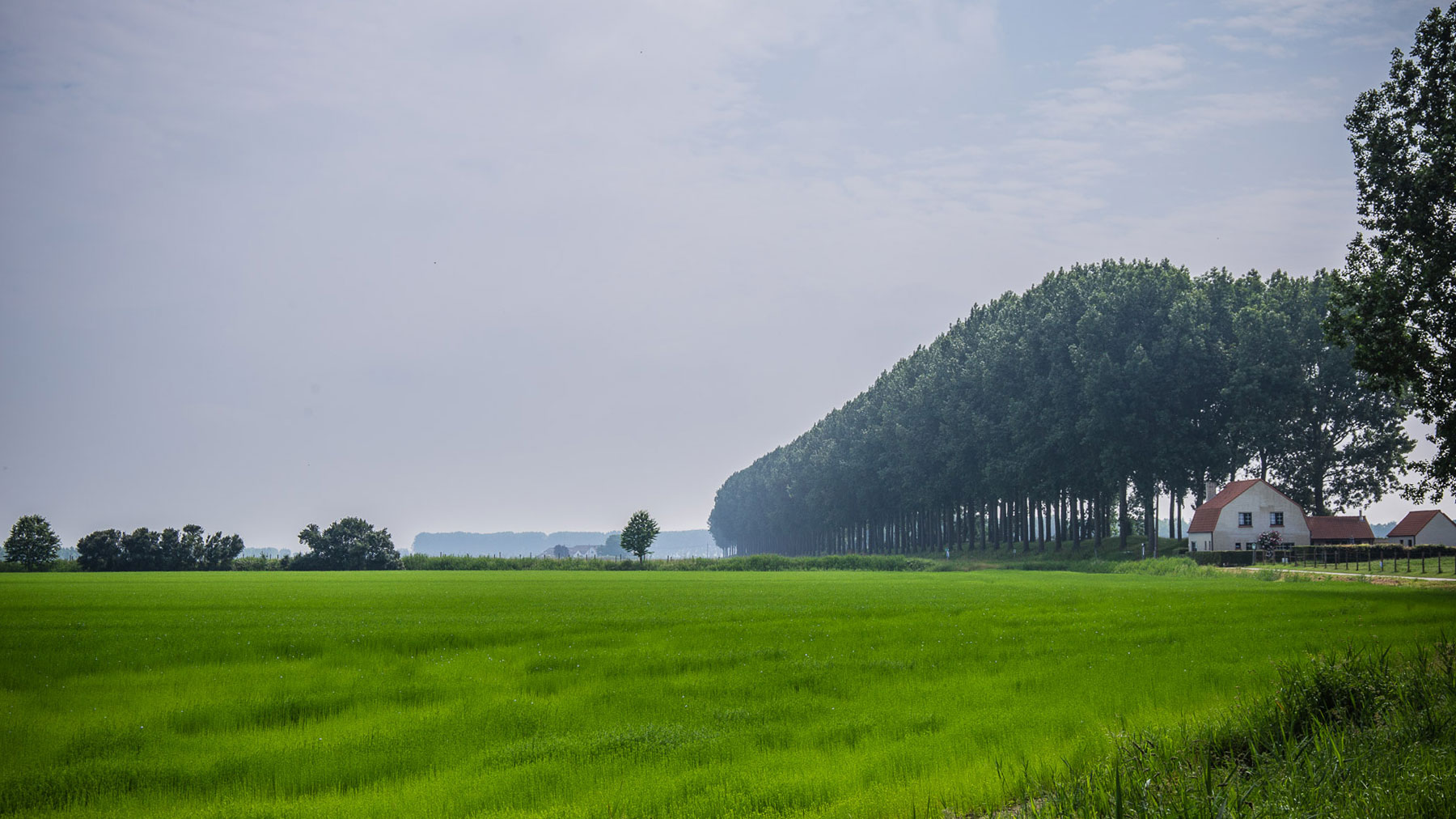 images/intro/07_polder.jpg