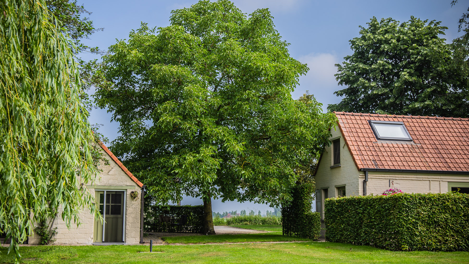 images/intro/08_gastenverblijf-vakantiehuis-vanuit-tuin.jpg