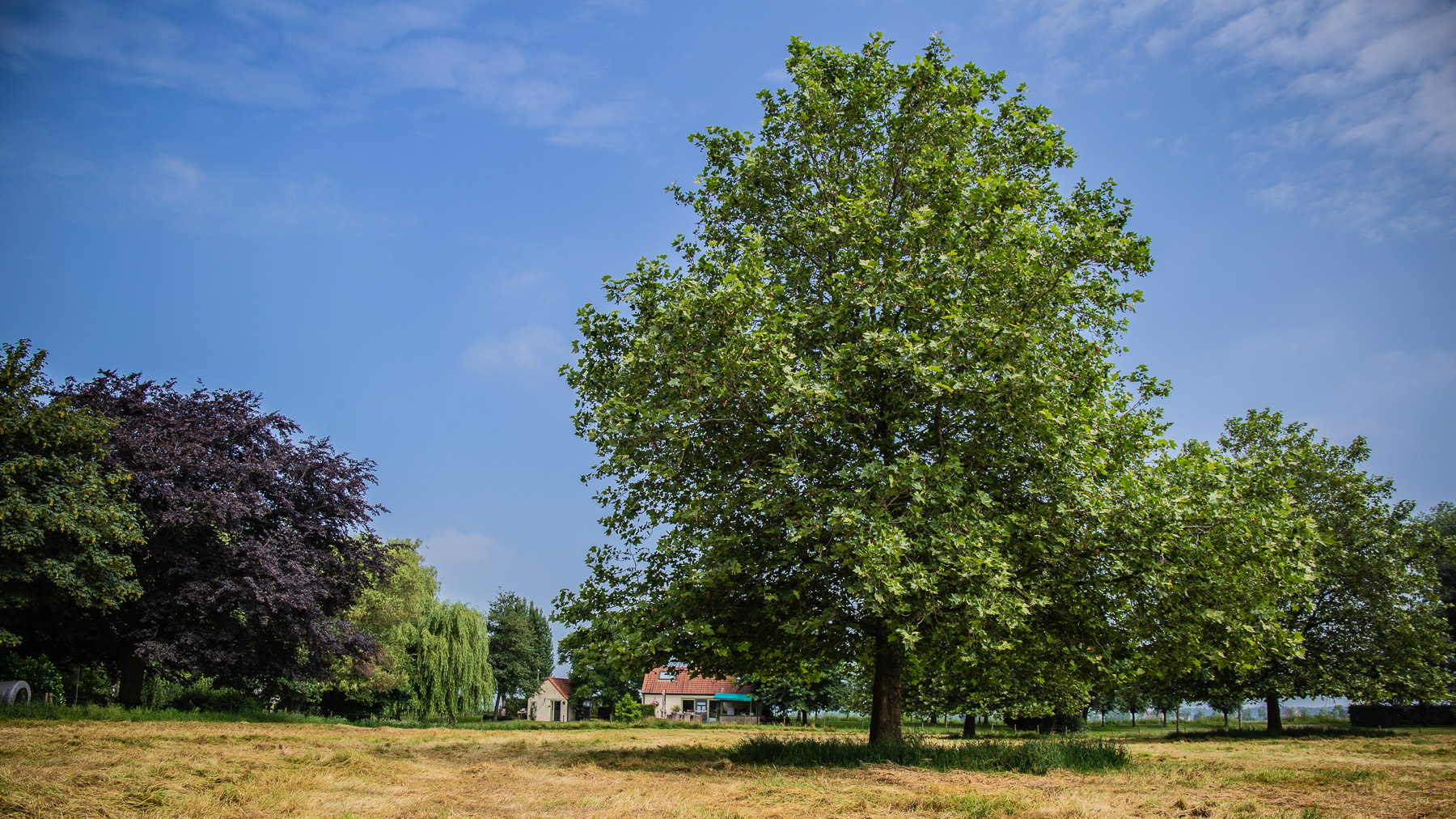 images/intro/14_gastenverblijf-vakantiewoning-vanuit-de-weide.jpg