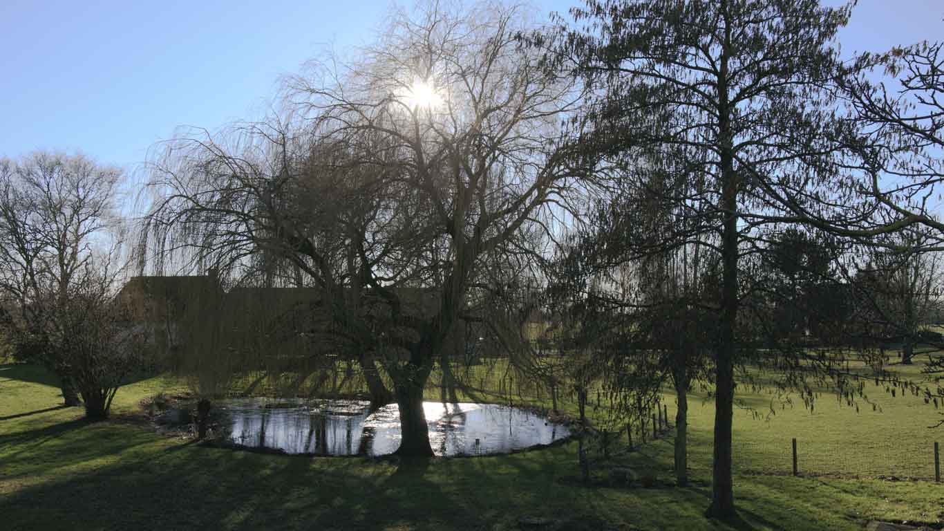 images/intro/kreekje-in-de-winter.jpg